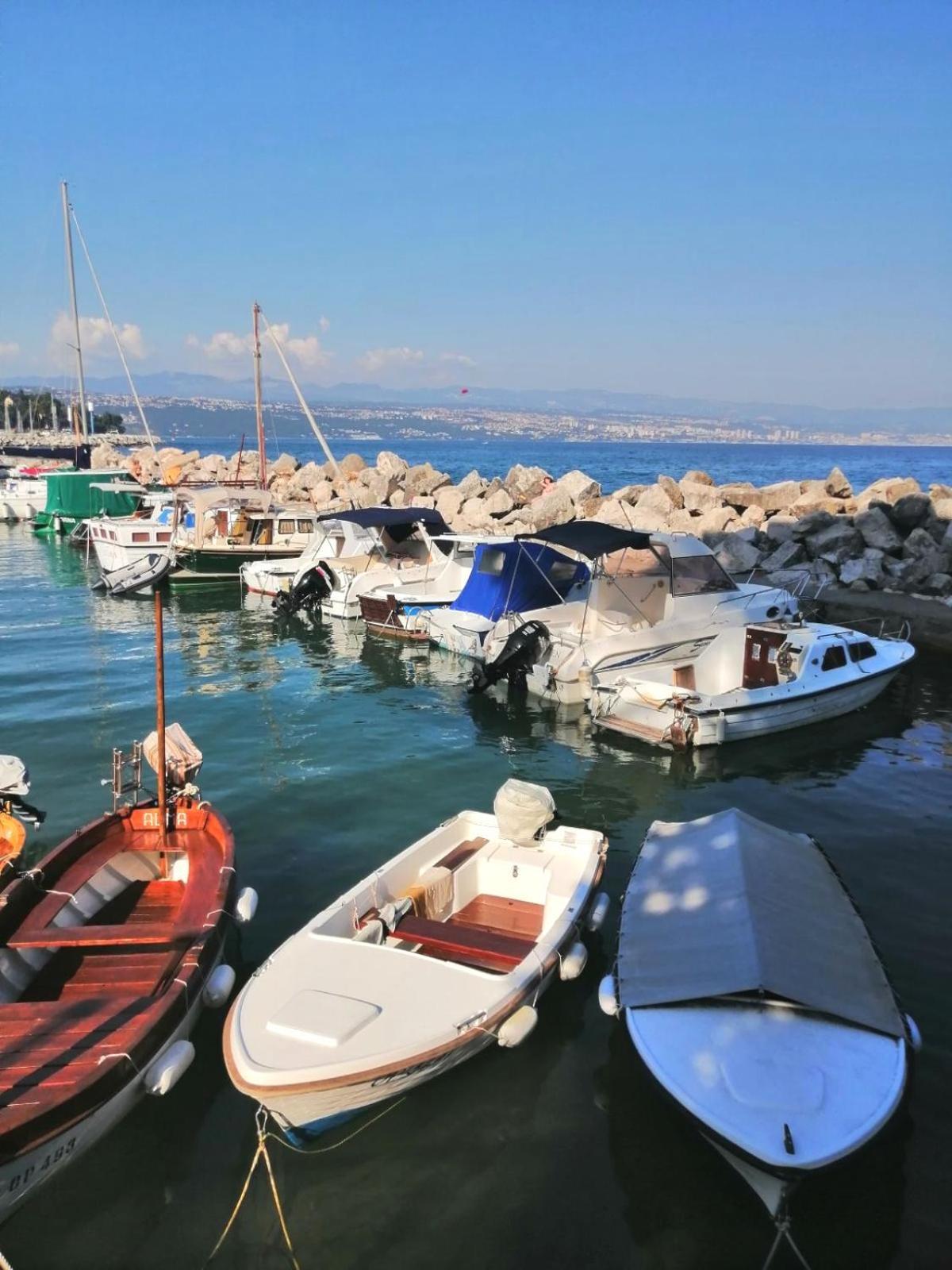 Cozy Apartment Bosnjak Near Opatija, With Sea View Terrace, Air Condition, Free Private Parking Ičići Εξωτερικό φωτογραφία